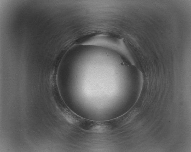 X0000074290364200608251350