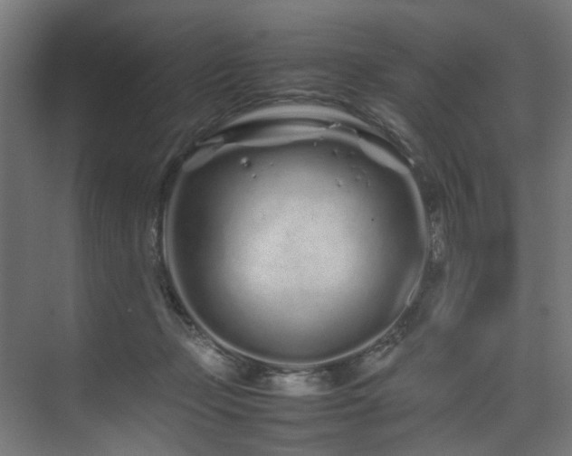 X0000074290365200608251350