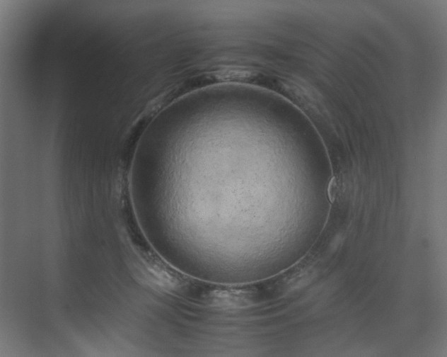 X0000074290367200608251350