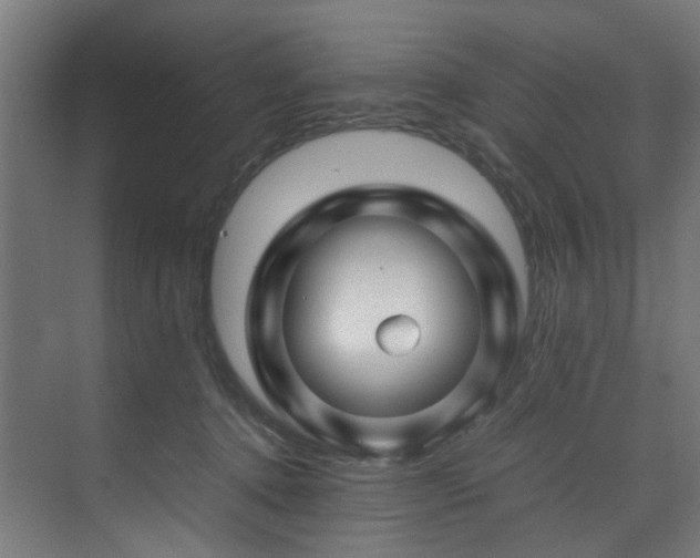 X0000074290368200608251350