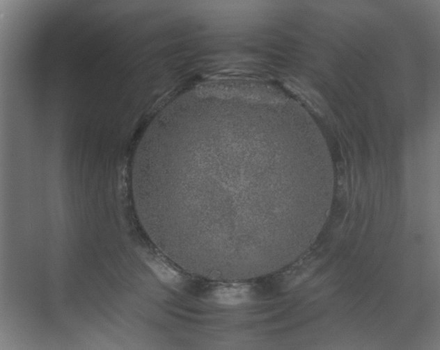 X0000074290369200608251350