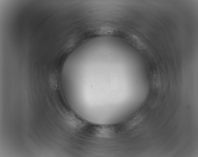 X0000074290370200608251350