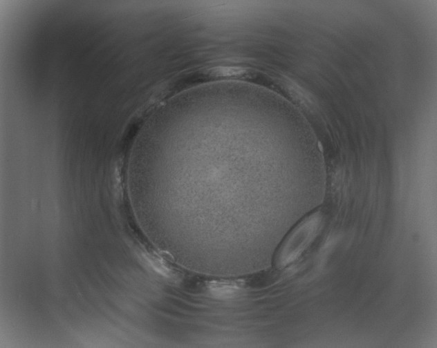 X0000074290373200608251350