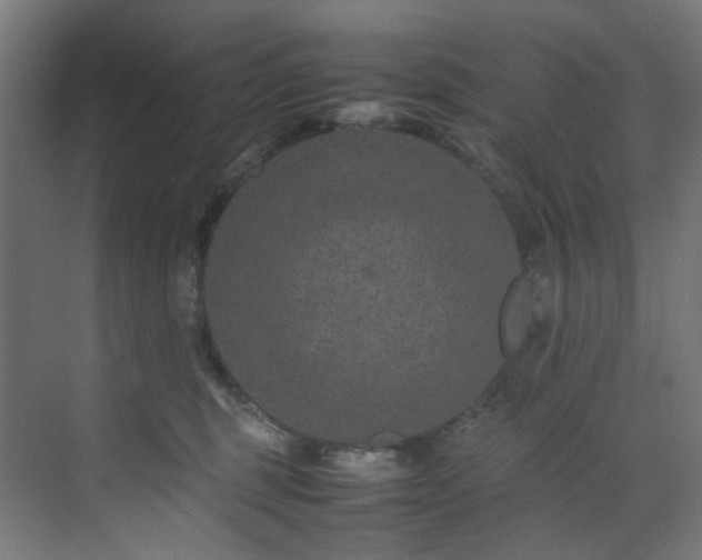 X0000074290375200608251350