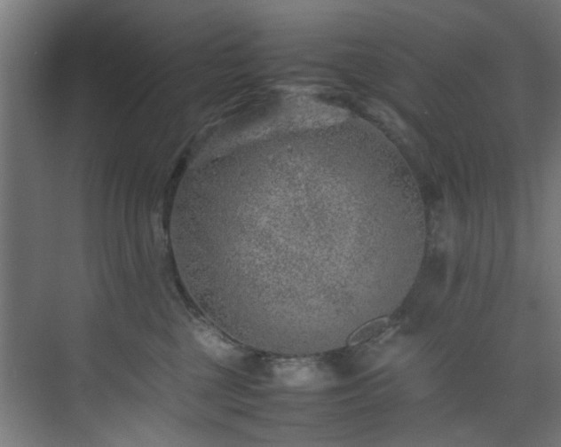 X0000074290377200608251350