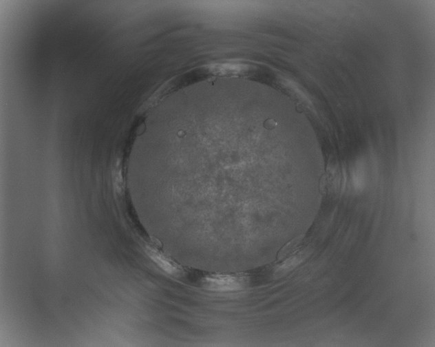 X0000074290381200608251350