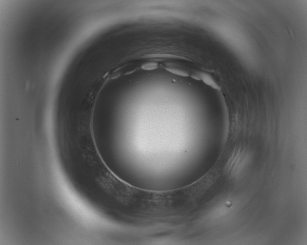 X0000074290383200608251351