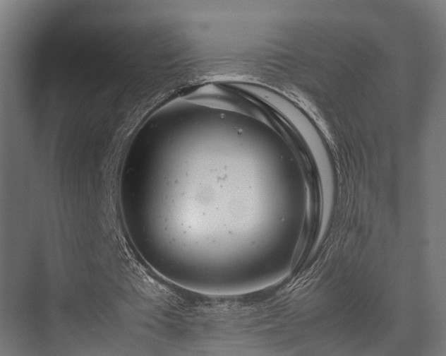 X0000074290385200608251350