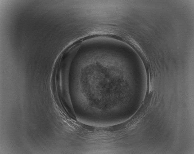 X0000074290387200608251350