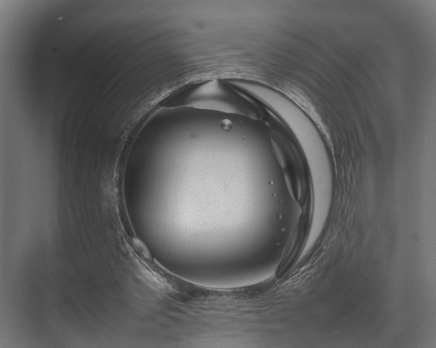 X0000074290389200608251350