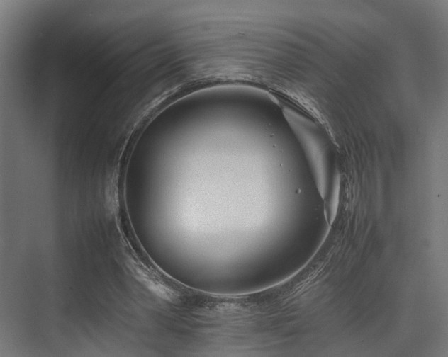 X0000074290390200608251350