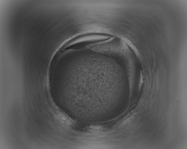 X0000074290391200608251350