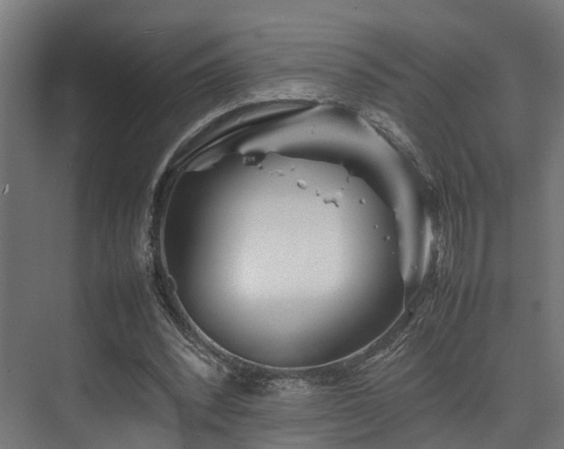 X0000074290392200608251350