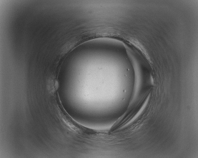 X0000074290393200608251350