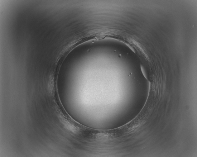 X0000074290394200608251350