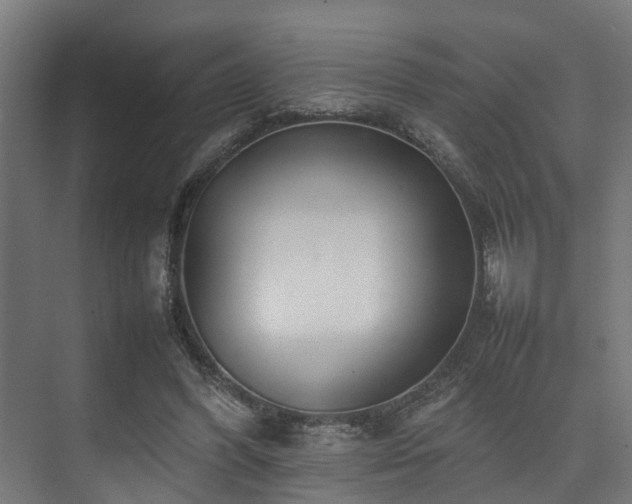 X0000074290396200608251350