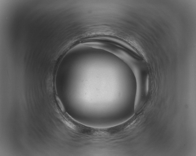 X0000074290397200608251350