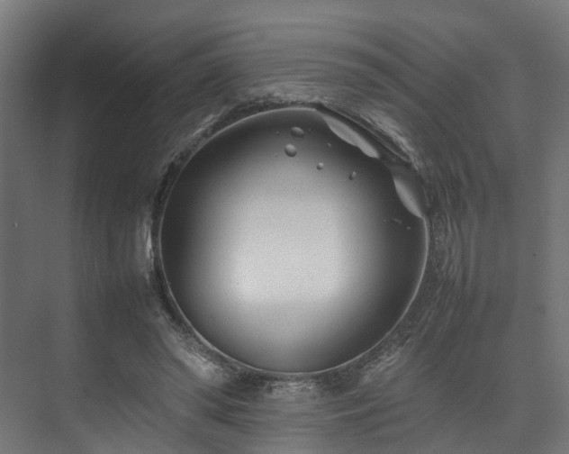 X0000074290398200608251349