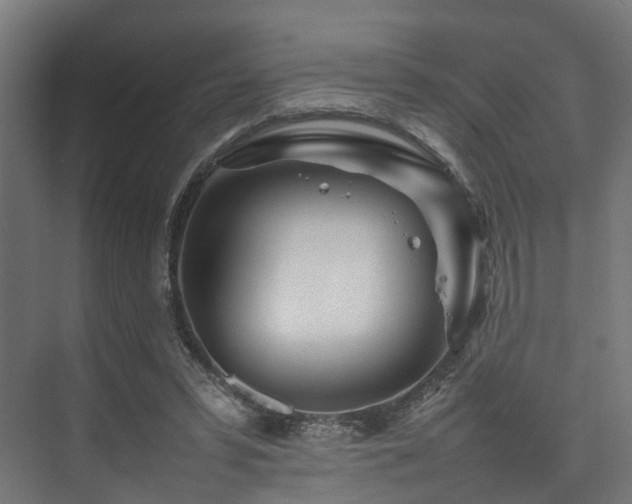 X0000074290399200608251349