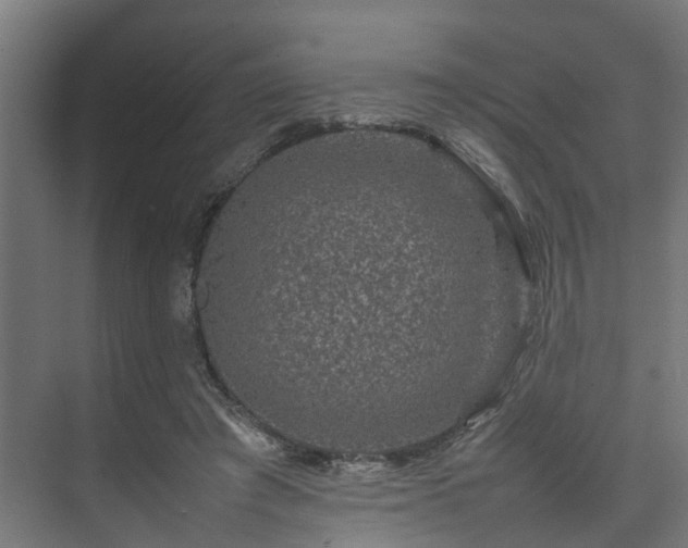 X0000074290401200608251349