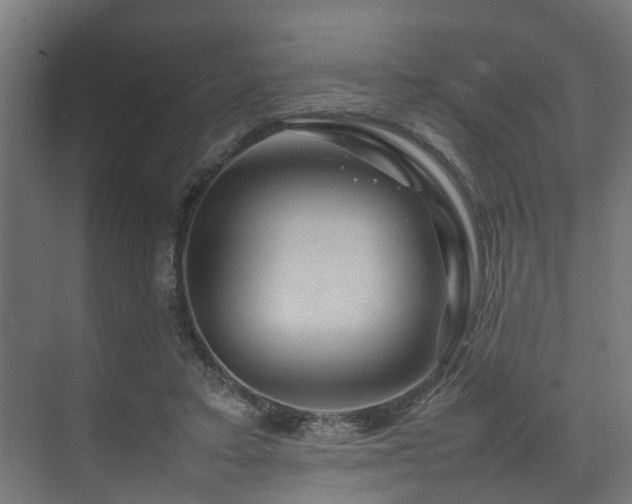 X0000074290403200608251349