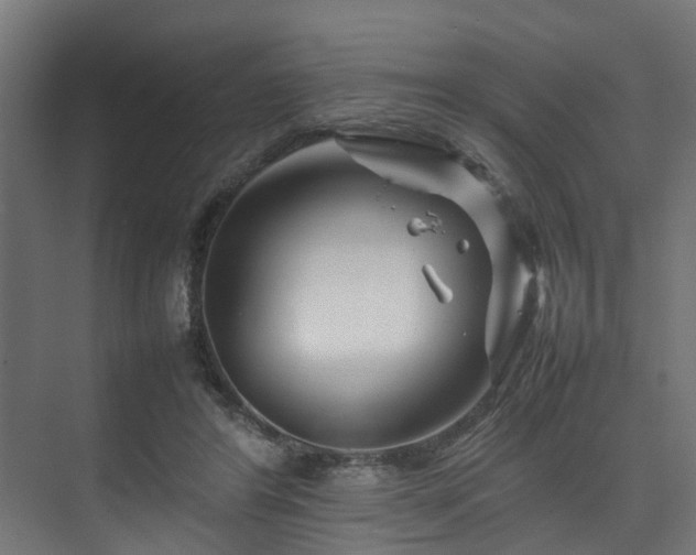 X0000074290404200608251349