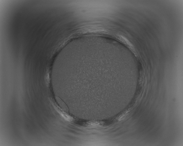 X0000074290405200608251349