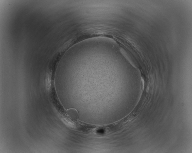 X0000074290406200608251349