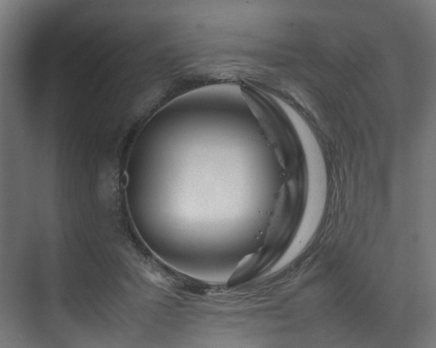 X0000074290407200608251349