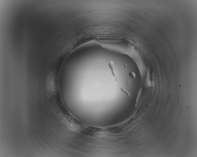 X0000074290408200608251349