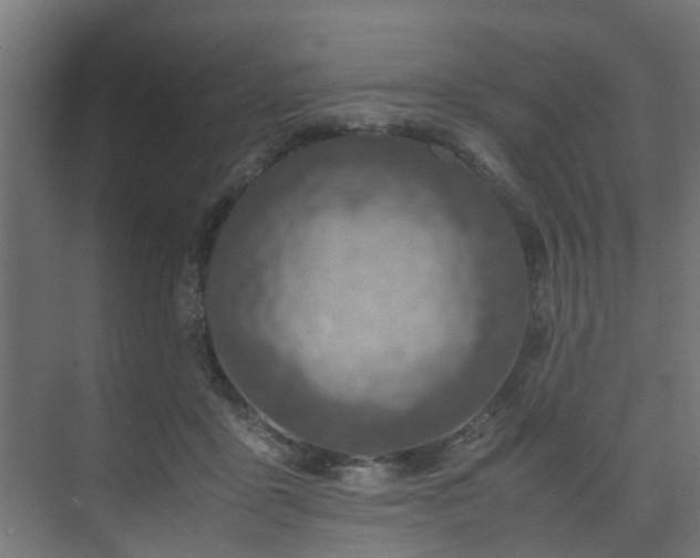 X0000074290411200608251349