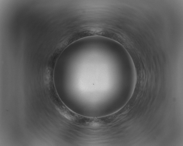 X0000074290412200608251349