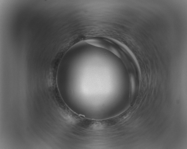 X0000074290416200608251349