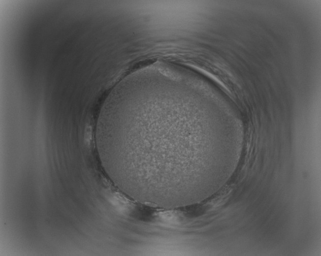 X0000074290417200608251349