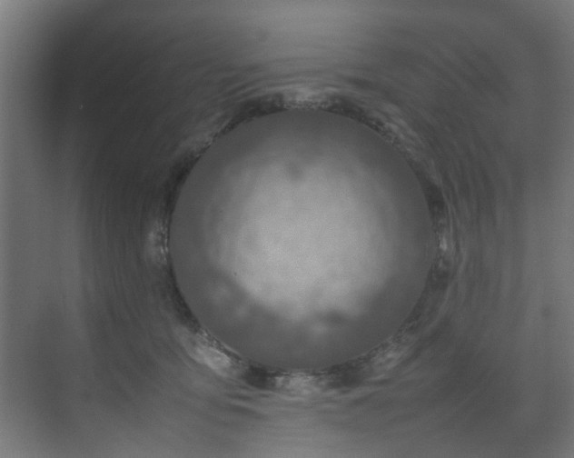 X0000074290419200608251349