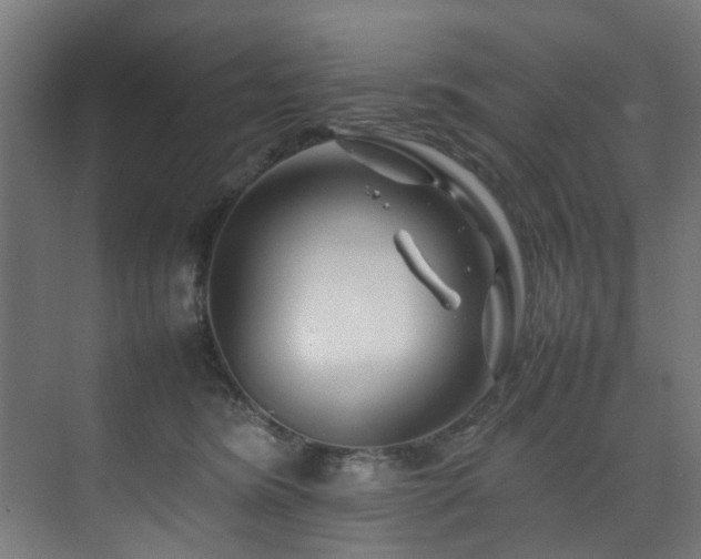 X0000074290420200608251349