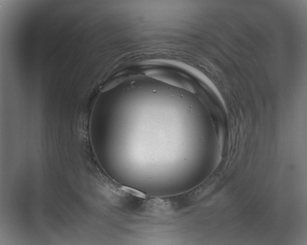 X0000074290421200608251349