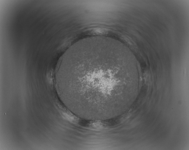 X0000074290423200608251349