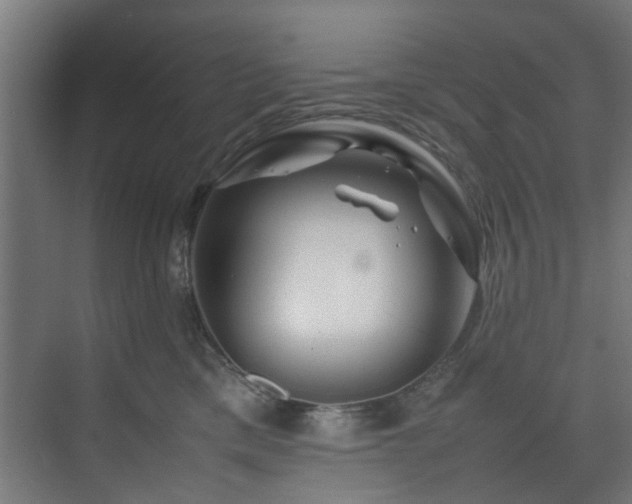 X0000074290425200608251349