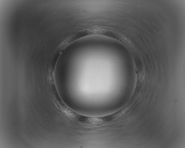 X0000074290429200608251349