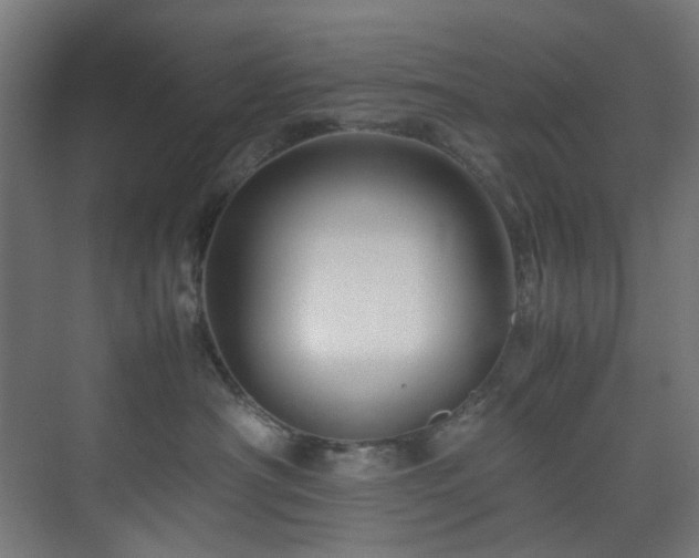 X0000074290430200608251349