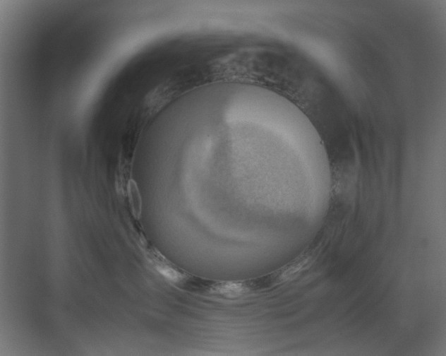 X0000074290431200608251349