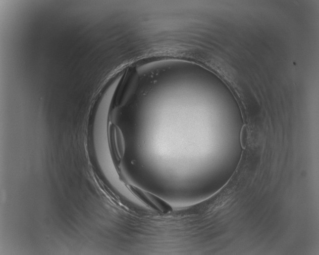 X0000074290434200608251348