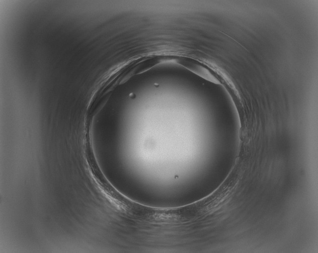 X0000074290437200608251348