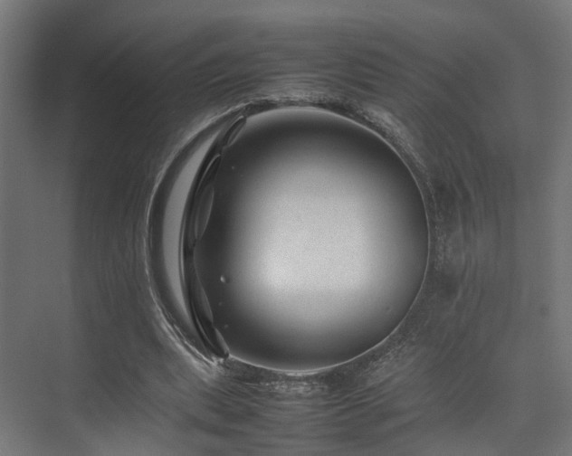 X0000074290439200608251348