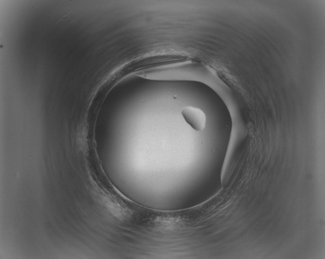 X0000074290440200608251348