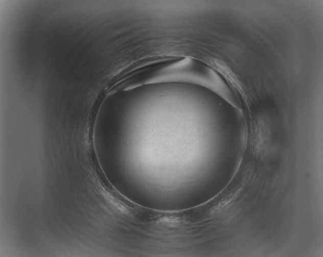 X0000074290441200608251348