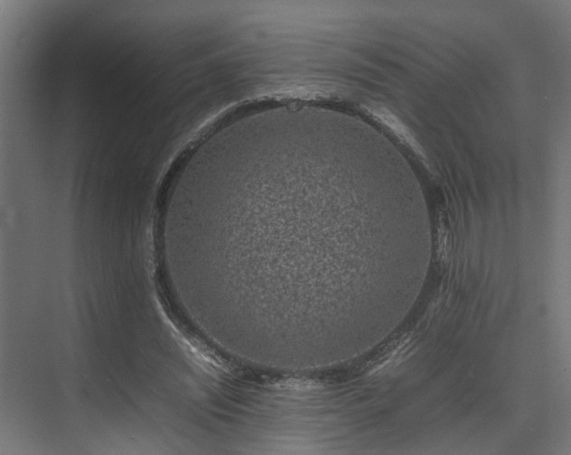 X0000074290444200608251348