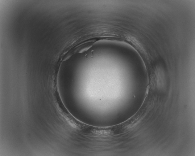 X0000074290449200608251348