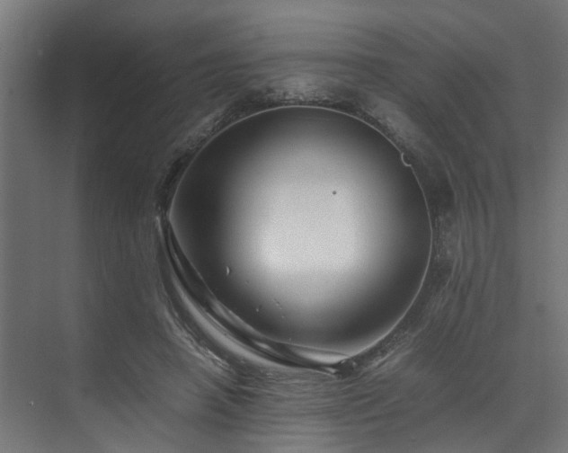 X0000074290450200608251348